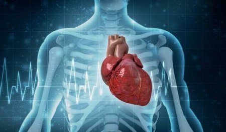 معهد القلب بالمستشفى الأمريكي في بانكوك، تايلاند