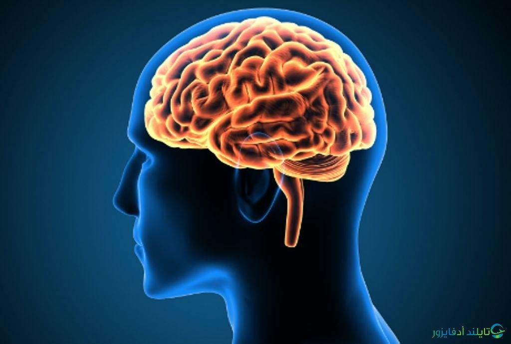مركز المخ و الأمراض العصبية بمستشفى فيموت